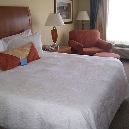 Hilton Garden Inn Albany Exterior foto