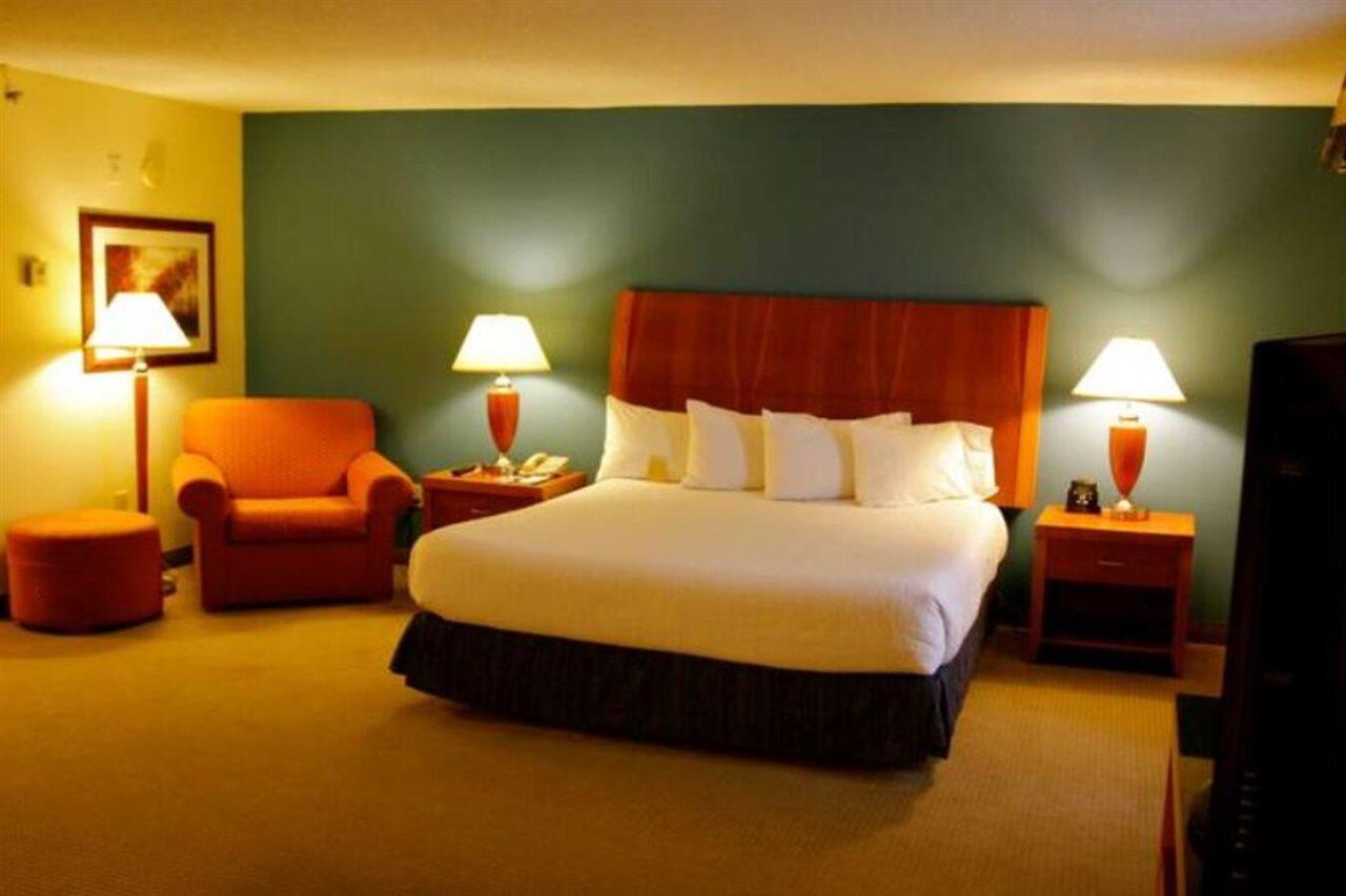 Hilton Garden Inn Albany Exterior foto