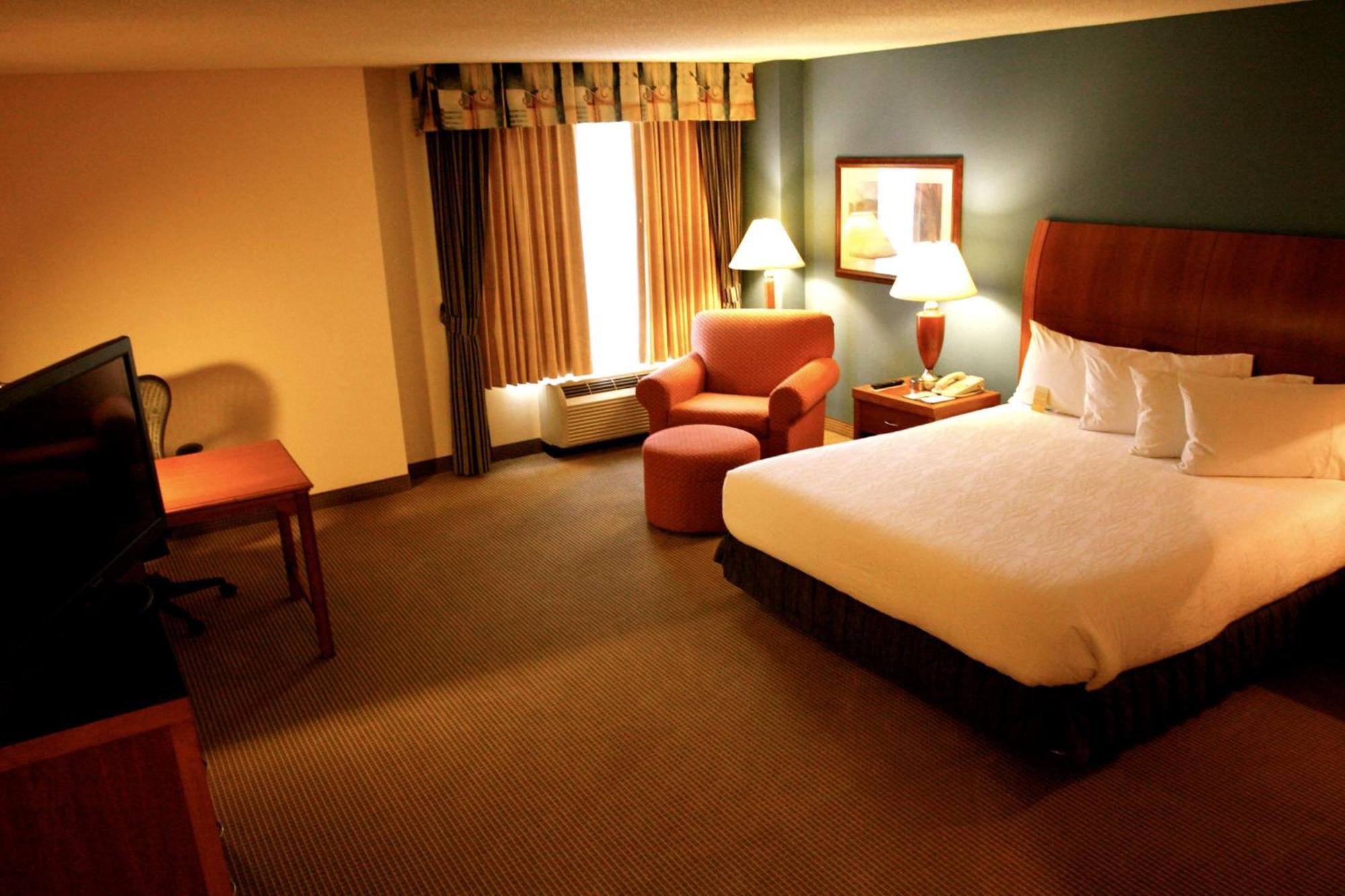 Hilton Garden Inn Albany Exterior foto