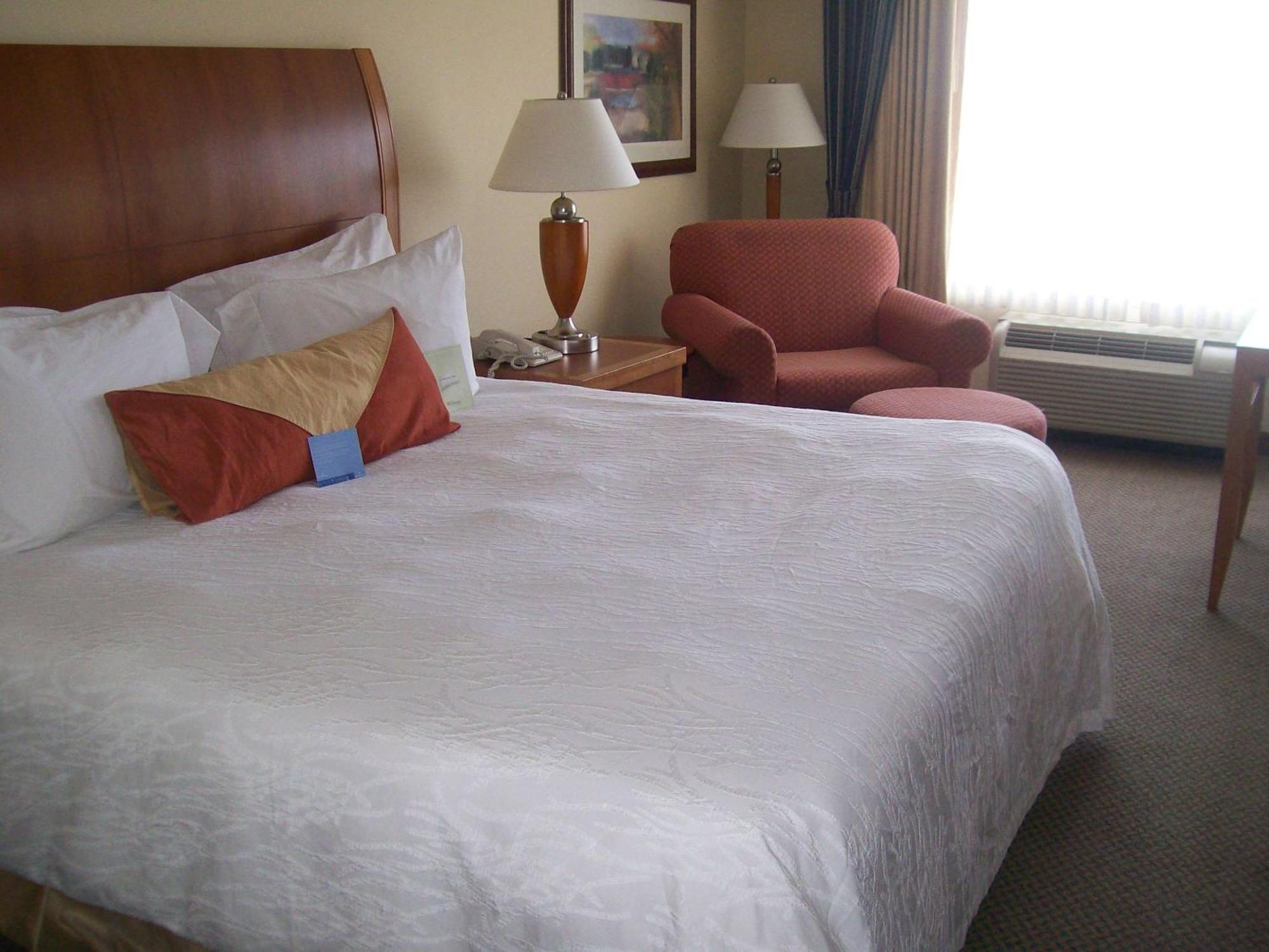 Hilton Garden Inn Albany Exterior foto