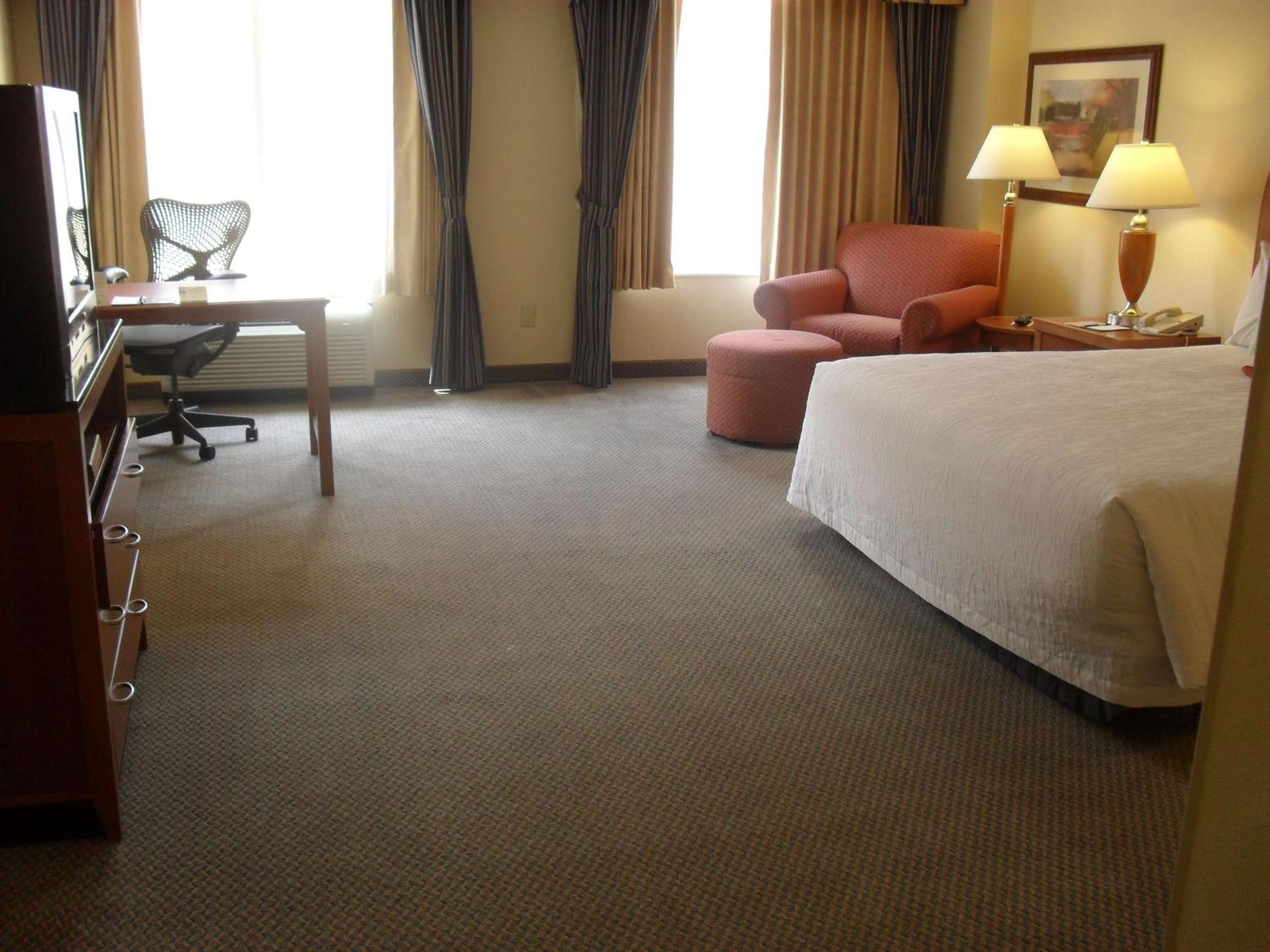 Hilton Garden Inn Albany Exterior foto