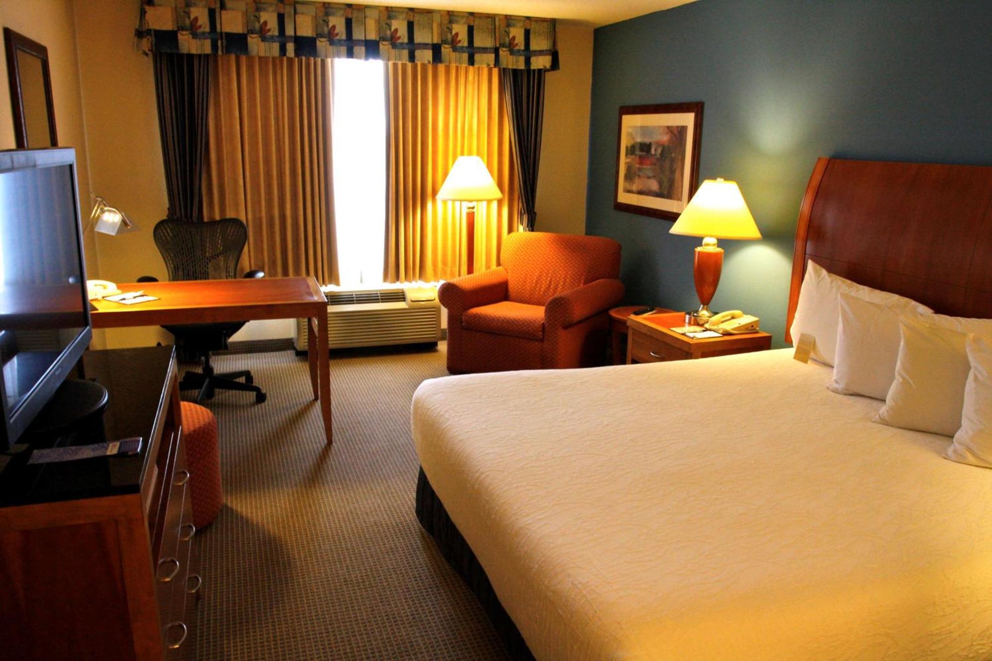 Hilton Garden Inn Albany Exterior foto